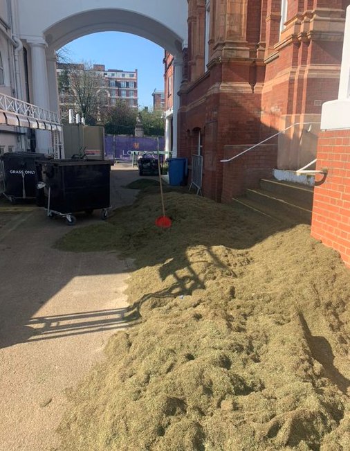 Cut grass at Lords cricket ground